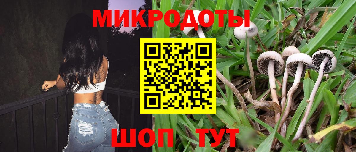Клинцы  Галлюциногенные грибы Psilocybe  Вход с VPN  Псилоцибиновые грибы ЛСД 